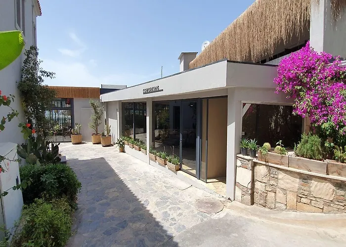 Station touristique Cook's Club Adakoy, - Adults Only 
