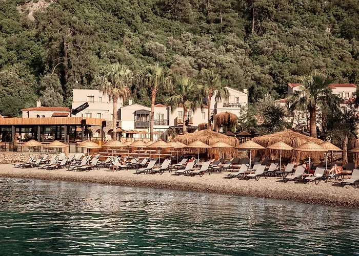Resort Cook's Club Adakoy, - Adults Only 